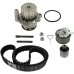 SKF VKMC 01250-2 Timing belt and water pump kit
