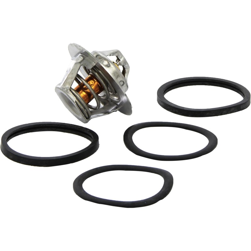 Valeo 819946 Engine Cooling