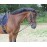 Kerbl 323600 Reins Extender – Black