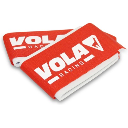 Pair of alpine ski straps.