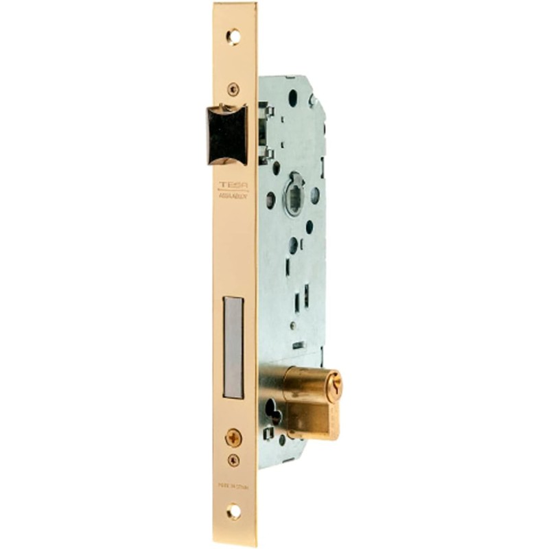 tesa 3010149 Lock 2030-hl/60 Brass