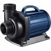 AquaForte DM 12,000 Low Voltage 12 Volt 90 Watt Pond Pump, Flow Rate 12,000 Litres per Hour, Flow Head 5.5 Metres, Automatic Dry Run Protection, Cable Length 10 Metres