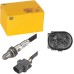 HELLA 6PA 009 166-791 Lambda Sensor - 6-pin connector - Cable: 800mm