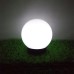 Green Blue Solar LED Light Garden Freestanding Lamp Ball Round White Multicolor (White 1 pcs - 20cm)