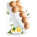 Piebert Universal Egg Holder 2252 for Fridge, Fridge Freezer, Built-In Refrigerator, Stable for 10 Eggs, Dimensions (H x W x D): 2.5 cm x 23.5 cm. x 9.5 cm