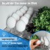 Piebert Universal Egg Holder 2252 for Fridge, Fridge Freezer, Built-In Refrigerator, Stable for 10 Eggs, Dimensions (H x W x D): 2.5 cm x 23.5 cm. x 9.5 cm