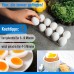 Piebert Universal Egg Holder 2252 for Fridge, Fridge Freezer, Built-In Refrigerator, Stable for 10 Eggs, Dimensions (H x W x D): 2.5 cm x 23.5 cm. x 9.5 cm