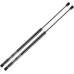 Frankberg 2 x Gas Spring Damper Tailgate Compatible with A3 Sportback 8PA All Engines Hatchback 2004-2013 Replace# 8P4827552B