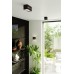 Sollux Lighting Lobo Aluminium Plafond, Black