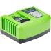 Greenworks 2924107 Charger, Green