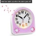 Eachui Analogue Alarm Clock with 7 Alarm Tones, Night Light, Snooze, No Ticking, Silent with Adjustable Volume, Battery Operated