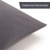 Blumtal set of 2 pillowcases - 100% cotton, super soft premium jersey pillowcase, grey, 40x80cm
