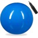 Relaxdays Gym Ball Fitness Ball Yoga & Pilates Office Balance Ball with Air Pump Diameter 65 cm Choice of Colours