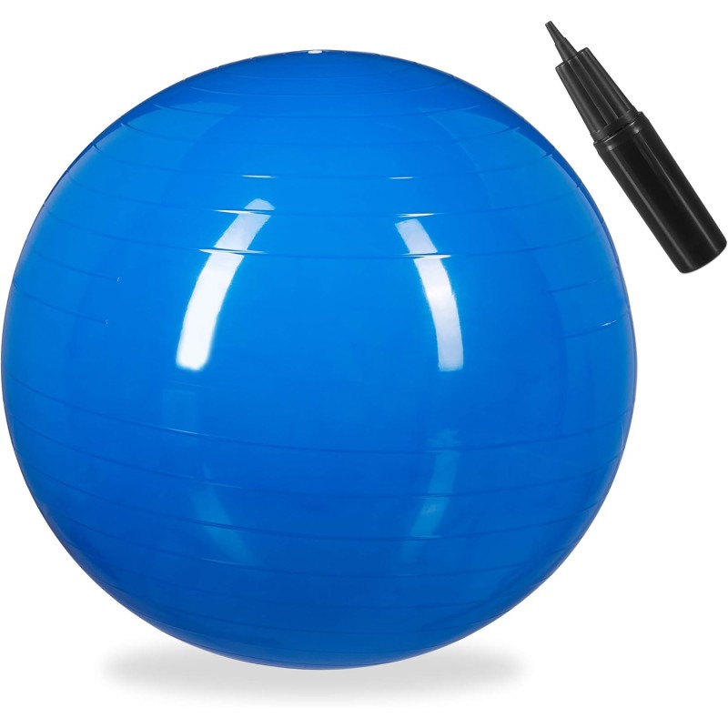 Relaxdays Gym Ball Fitness Ball Yoga & Pilates Office Balance Ball with Air Pump Diameter 65 cm Choice of Colours