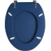 Wirquin 20722726 Color Line Woody Lid, Matte Blue