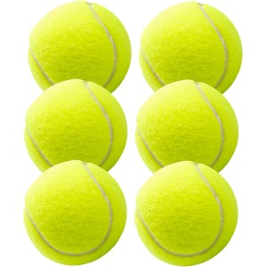 TK Gruppe Timo Klingler Tennisbälle - Trainingsbälle - inkl. Mesh Tragetasche - Тенис топка за спорт, деца, кучета и перална машина