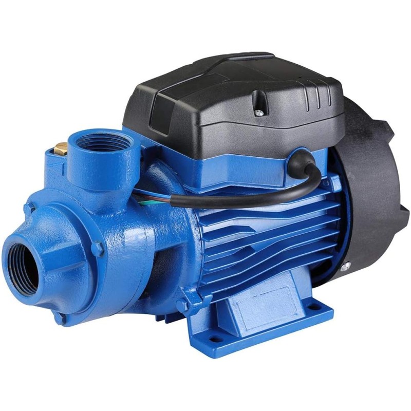 Bakaji Self-priming electric pump for autoclave peripheral power 0.5 HP (370 W) pump with copper motor, brass impeller, steel shaft and cast iron body, maximum flow rate 30
