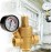 Regun DN15 Pressure Regulator Water, Brass Pressure Reducing Valve, Adjustable Water Pressure Regulator with Pressure Gauge, Can Be Used in Private Homes, Buildings and Factories