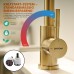 GRIFEMA Kitchen Tap Water-Saving - Kitchen Tap 360° Rotation, Mixer Tap with 50 cm Cold Hot Water 3/8 Inch Hoses, Tap Easy Assembly, Sink Mixer Tap Stainless Steel, Brushed Gold