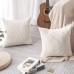 Artscope Set of 2 Decorative Cushion Covers 45 x 45 cm Corduroy Pure Colour Cushion Cover Soft Plush Cushion Cover Set Cushion Case for Sofa Car Bedroom Home Decorative Cushion Covers