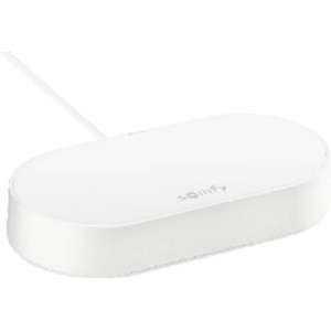 Somfy 1870755 Connectivity Kit, Control of Somfy Motors and Lighting, Compatible with io & RTS Motors, Voice Control via Google Assistant, Amazon Alexa, HomeKit