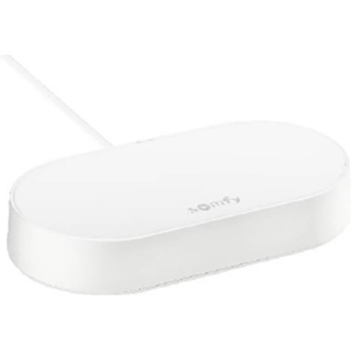 Somfy 1870755 Connectivity Kit, Control of Somfy Motors and Lighting, Compatible with io & RTS Motors, Voice Control via Google Assistant, Amazon Alexa, HomeKit