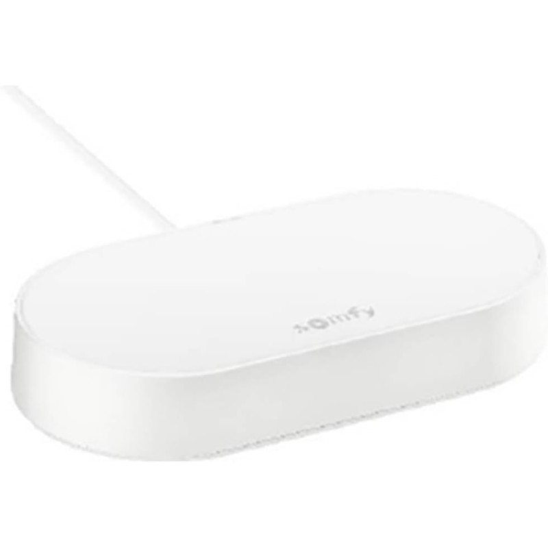Somfy 1870755 Connectivity Kit, Control of Somfy Motors and Lighting, Compatible with io & RTS Motors, Voice Control via Google Assistant, Amazon Alexa, HomeKit