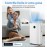pasapair Dehumidifier 20L in 24h Dehumidification Performance - Automatic Dehumidifier for Rooms up to 195 m³ (~30 m²) with 3 Operating Modes, Digital Display, Drain Hose, Timer Against Moisture,