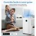 pasapair Dehumidifier 20L in 24h Dehumidification Performance - Automatic Dehumidifier for Rooms up to 195 m³ (~30 m²) with 3 Operating Modes, Digital Display, Drain Hose, Timer Against Moisture,