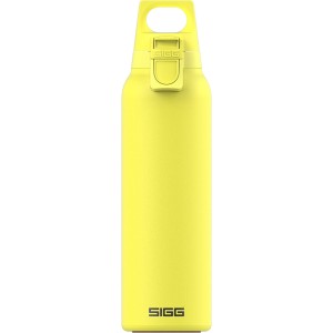 SIGG - Insulated Water Bottle - Thermos Flask Hot & Cold One - With Tea Strainer - Leak-Proof - BPA-Free - 18/8 Stainless Steel - 0.55 L