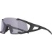 ALPINA Hawkey S Q-Lite V - Photochromic