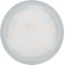 Paulmann Nova 93069 LED Recessed Light Module Coin Round 50 mm 6 W 470 lm 230 V 2700 K Satin Round Ceiling Spotlight Plastic