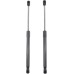 Frankberg 2 x Gas Spring Damper Tailgate Compatible with P.a.s.s.a.t 362 All Engines Notchback 2010-2014 Replace# 3AE827550A