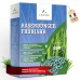 LERAVA® Lawn Fertiliser Spring - 4.8 kg - Nitrogen Fertiliser with Long-Lasting Effect, for Green Lawn, 3 Months Nutrient Supply, Even Nutrient Distribution, Lawn Fertiliser, Fertiliser Grass,