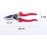 IPEA Gardening Scissors Pruning Shears - 55mm Carbon Blade - Professional Universal Garden Scissors Cutting Branches Plants Shrubs - Sharp, Ergonomic, Cushioned