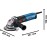 Bosch Professional Angle Grinder GWS 17-125 (1,700 Watt, Includes Additional Handle, Protective Cover, Separating Protection Cover, Dust Filter, Two-Hole Wrench, Mounting Flange, Clamping Nut)
