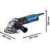 Bosch Professional Angle Grinder GWS 17-125 (1,700 Watt, Includes Additional Handle, Protective Cover, Separating Protection Cover, Dust Filter, Two-Hole Wrench, Mounting Flange, Clamping Nut)