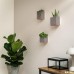 Kazai. Alma Wall Vases, Modern Hanging Flower Pots for the Wall, 3-Piece Planter Set Made of High-Quality Resin for Indoor Plants, Artificial Plants, Flowers and Much More, Taupe