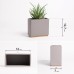 Kazai. Alma Wall Vases, Modern Hanging Flower Pots for the Wall, 3-Piece Planter Set Made of High-Quality Resin for Indoor Plants, Artificial Plants, Flowers and Much More, Taupe