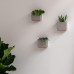 Kazai. Alma Wall Vases, Modern Hanging Flower Pots for the Wall, 3-Piece Planter Set Made of High-Quality Resin for Indoor Plants, Artificial Plants, Flowers and Much More, Taupe