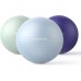 PROIRON Gymnastics Ball, Pezziball, Sitting Ball, Training Ball, Fitness Ball & Balance for Core Training, with Pump, Anti Burst, Pilates Ball, Robust for Adults, Office, Pezzi Balls, Gymnastics Balls