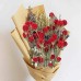 SLFYEE Craspedia Dried Flowers, Decorative Bouquet, Natural Billy Button Balls for Vase, Table Decoration, Wedding, Home, Party, Photography, Red, Pack of 36