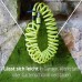 Amig - Spiral Hose | Polypropylene | Extendable Measurement up to 7.5 m | Includes Watering Lance, Adapter and 2 Splices | Pistachio Green
