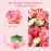 GEFIRE Pack of 80 Artificial Flower Heads, Artificial Flowers, Rose Heads, Artificial Flowers, Fake Rose Heads, Artificial Roses Decoration for Wedding, DIY Party Decoration (4 Colours)