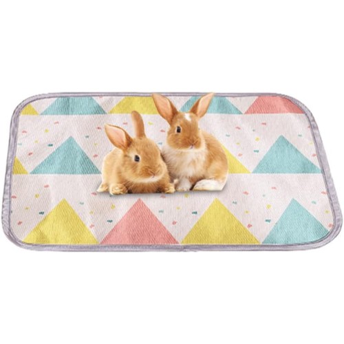 Valicaer Pack of 2 Absorbent Guinea Pig Cage Inserts, Reusable Pads for Pets, Cool Rug for Guinea Pig Cage, Washable, Hygiene Mat for Rabbits, Small Animals, 40 x 30 cm