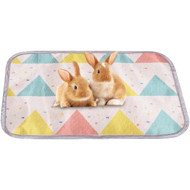 Valicaer Pack of 2 Absorbent Guinea Pig Cage Inserts, Reusable Pads for Pets, Cool Rug for Guinea Pig Cage, Washable, Hygiene Mat for Rabbits, Small Animals, 40 x 30 cm