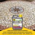 FILA Surface Care Solutions Wet Stone Eco Natural Preservation with Wet Effect, Water Repellent, Dirt-Repellent and Dirt-Repellent, Suitable for Indoor and Outdoor Floors, 1 Litre