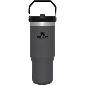 Stanley Flip Straw Tumbler 1.0 Water Bottle with Straw 0.89 L - Thermos Bottle Keeps Cold for 12+ Hours - Dishwasher Safe - Sports Bottle - Water Bottle BPA Free - Charcoal