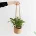 Cotton Rope Plant Basket, Hanging Flower Pots, Flower Pots Storage Basket, Hanging Straw Planter, Hanging Basket Plant Hanger for Plants, Indoor and Outdoor Decoration, 20 cm