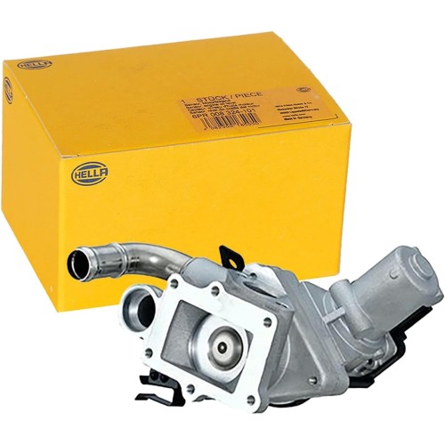 HELLA 6NU 014 865-121 EGR Valve 12 V Electric 5-Pin with Sealing Rings